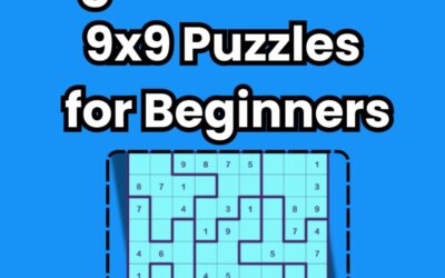 204 Very Easy Jigsaw Sudoku 9×9 Puzzles For Beginners (Large Print) Volume 01